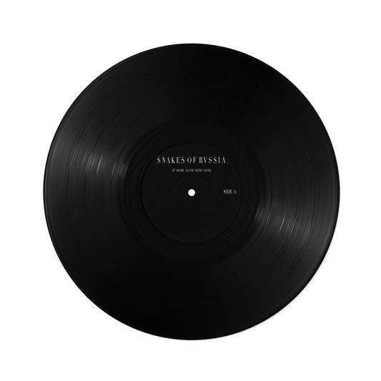 At Home Alone With Lions 12" black vinyl